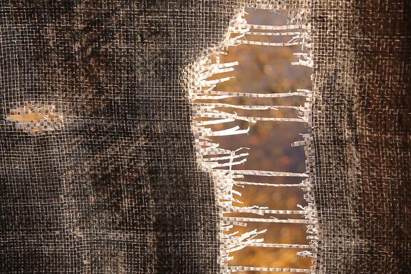 Nationalism and Ethnic Conflict Research Fellows