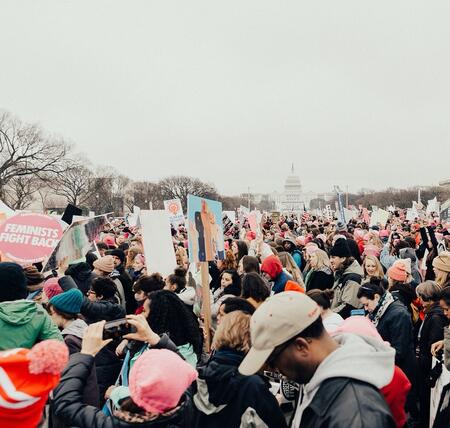 Women's March, Washington -  visit Cluster Page