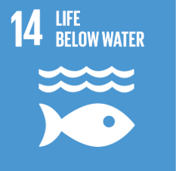 SDG 14: Life Below Water