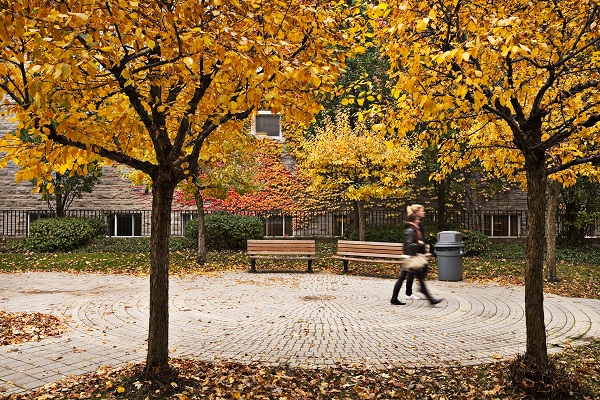 student walking through courtyard behind Robert Sutherland Hall in the Fall