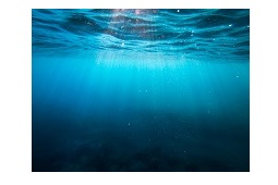 "view of the surface of the water from underwater"