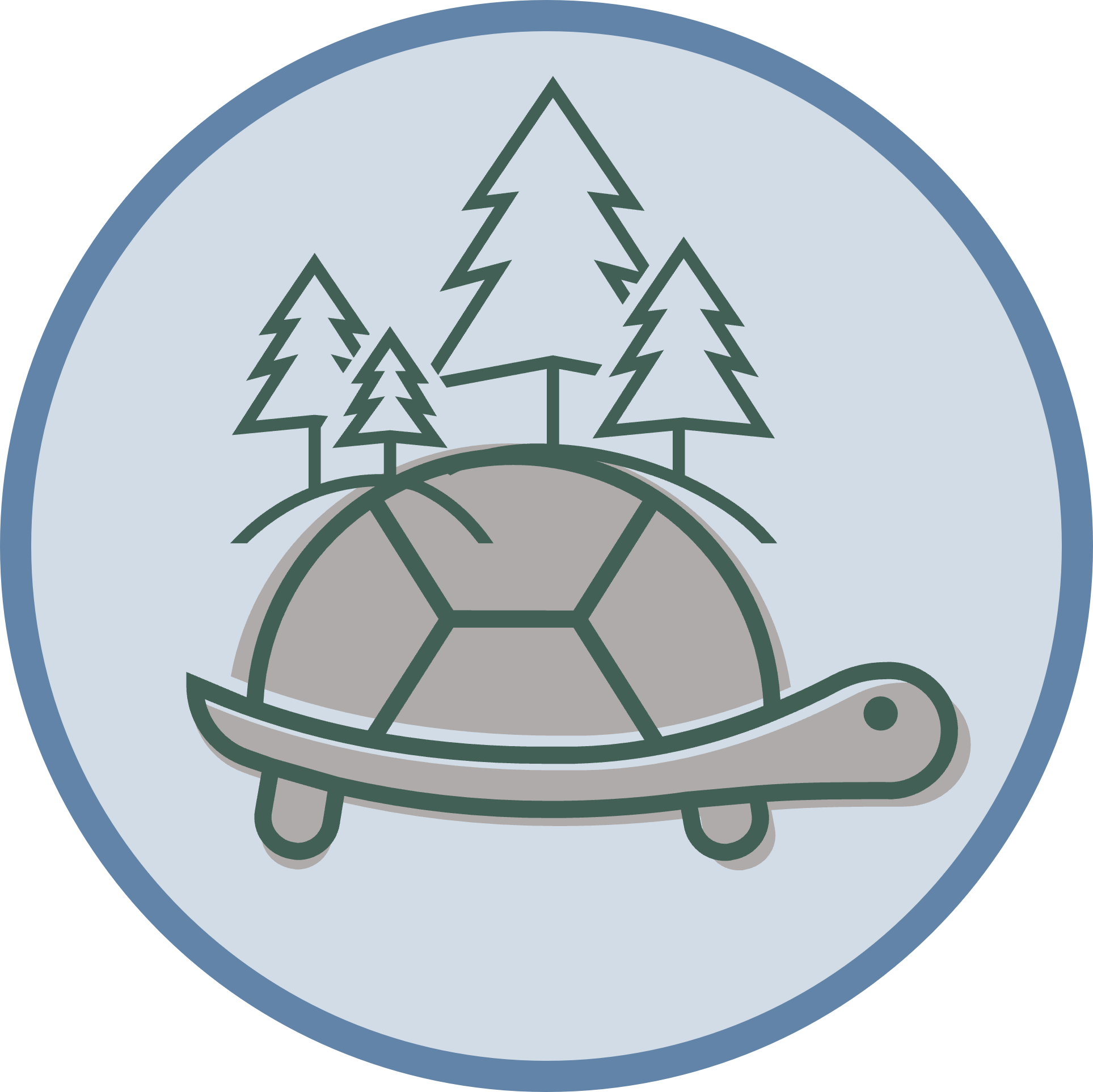 Indigenization badge:turtle island icon on blue background