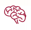 "human brain icon"