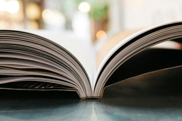 DEVS MA Handbook