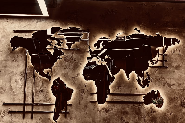 The Political Economy of Development