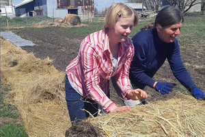 Student rolling hay on farm grounds