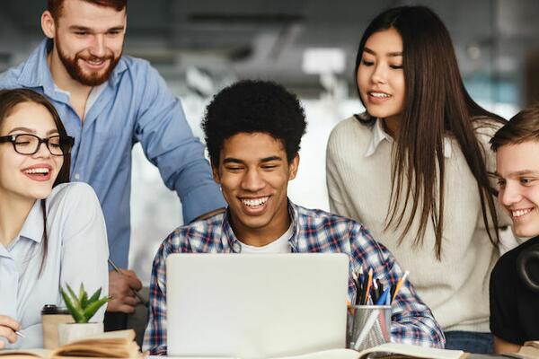 Programme Milestones