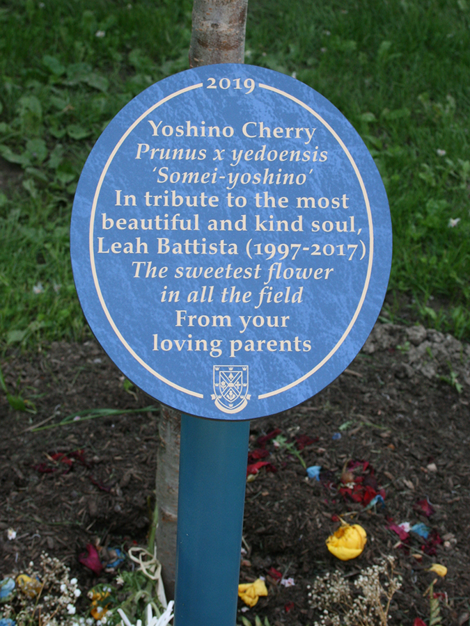 DEVS 2019 Spring Convocation Reception