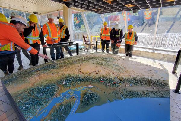 Students learning from model