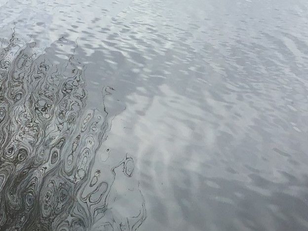 Ripples in a lake 