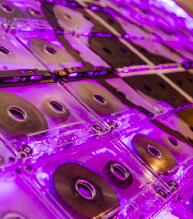 Black Studies Summer Seminar - Call for Applications