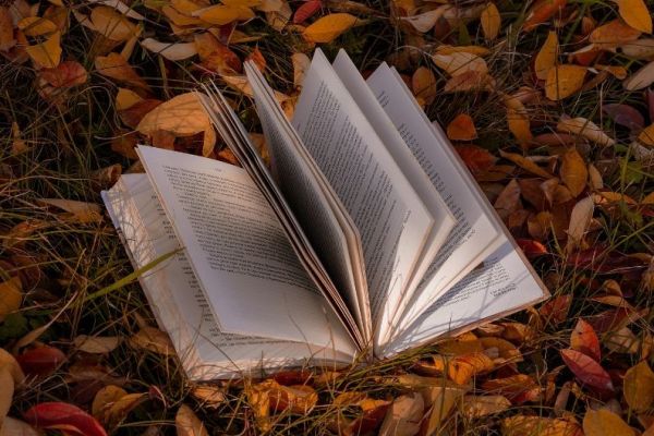 open book in a pile of leaves