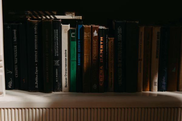spines of books on a shaded bookshelf 