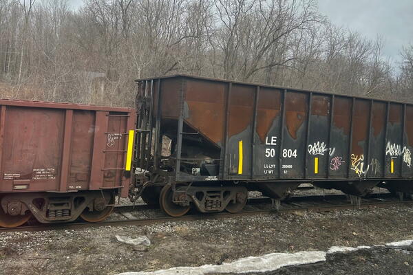 Photograph of two connected freight train cars on railroad tracks with leafless trees in background.