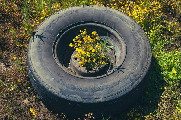 tire with flowers growing out of it