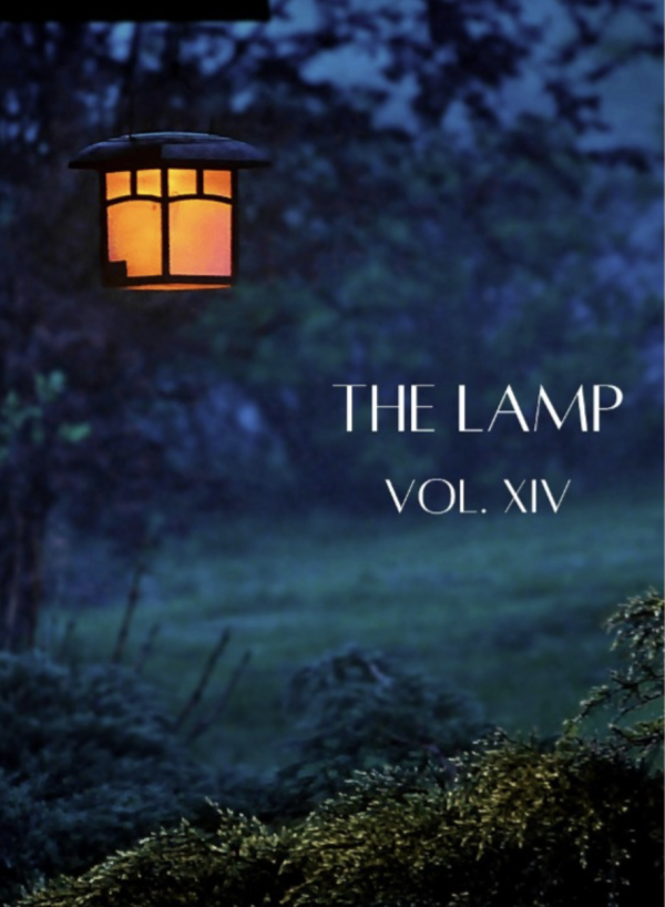 The lamp volume 14 cover