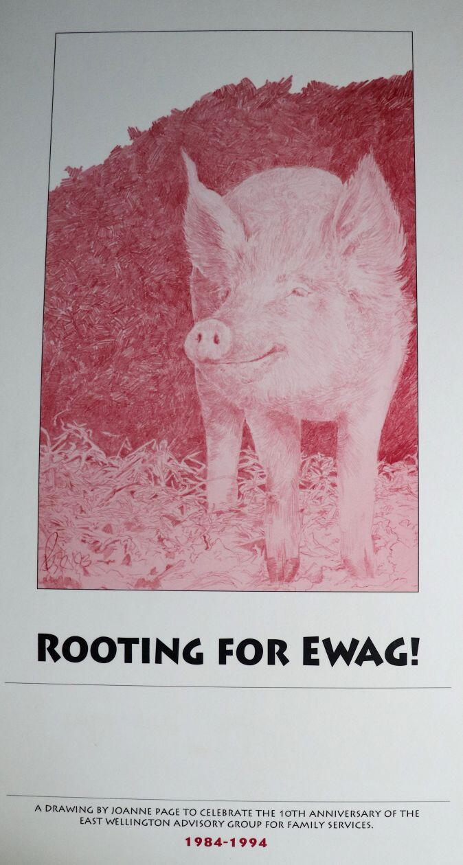 red pencil drawing of a pig