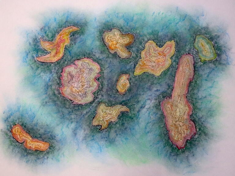 panting of map like land formations with tiny notes on each formation