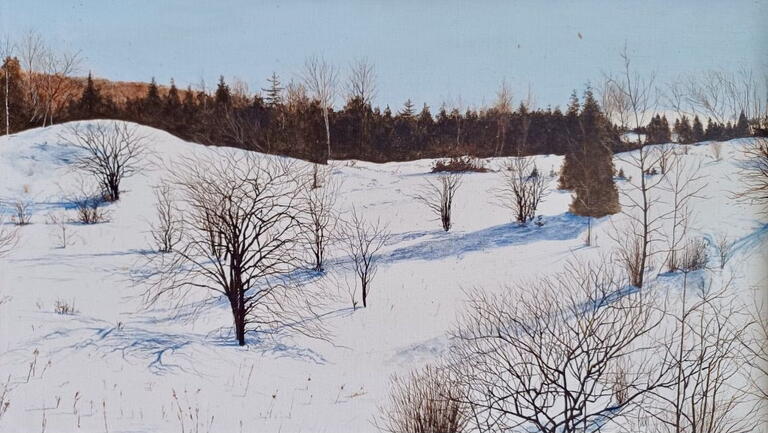 a field of snow, bare trees, and blue sky in the background