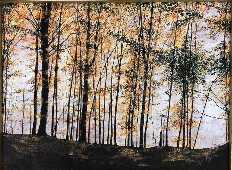 image of trees in fall colours
