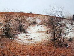 landscape painting of field with trees