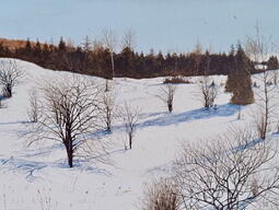 a field of snow, bare trees, and blue sky in the background