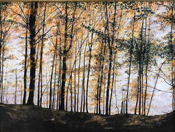 image of trees in fall colours
