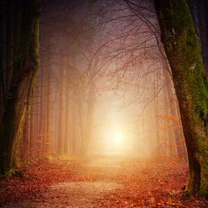 Literature and the Fantastic