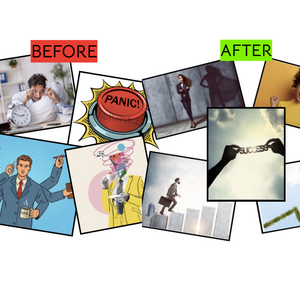 Introduction to Professional and Pedagogical Skills I 