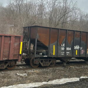 Photograph of two connected freight train cars on railroad tracks with leafless trees in background.