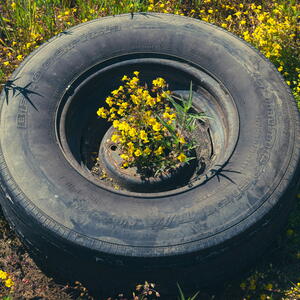 tire with flowers growing out of it