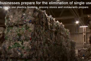 Dr. Hird on Global News