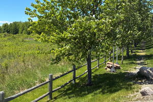 Rural setting