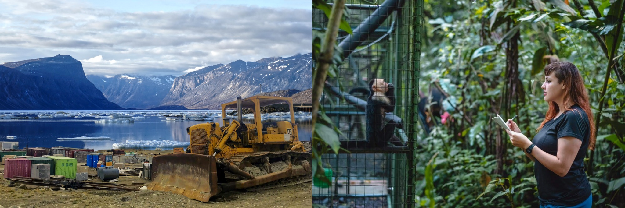 Art of Research Winners