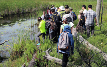 Students at a marsh