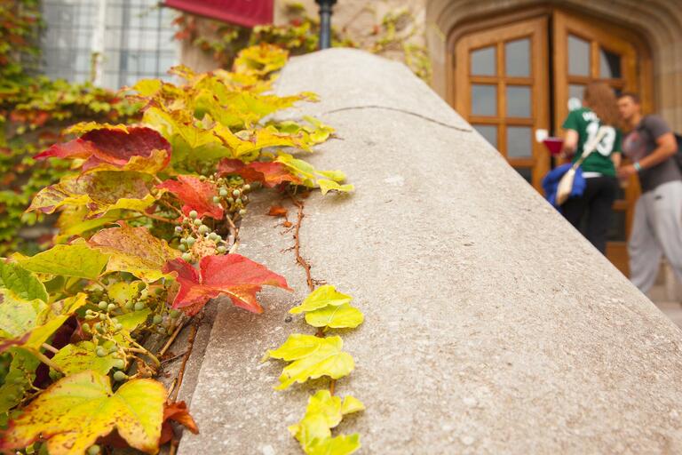 Fall leaves on a stone bannister 