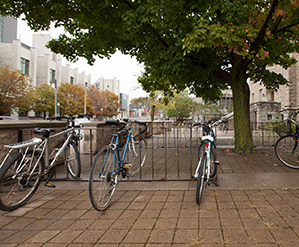 Bikes at outdoor storage racks
