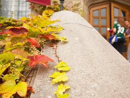 Fall leaves on a stone bannister 