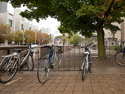 Bikes at outdoor storage racks