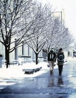 Students walking past snow-covered trees in winter.