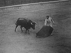Picture from the Bull Fight