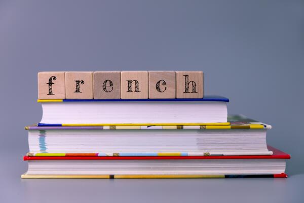 Stack of books with wooden blocks on top spelling out "french".
