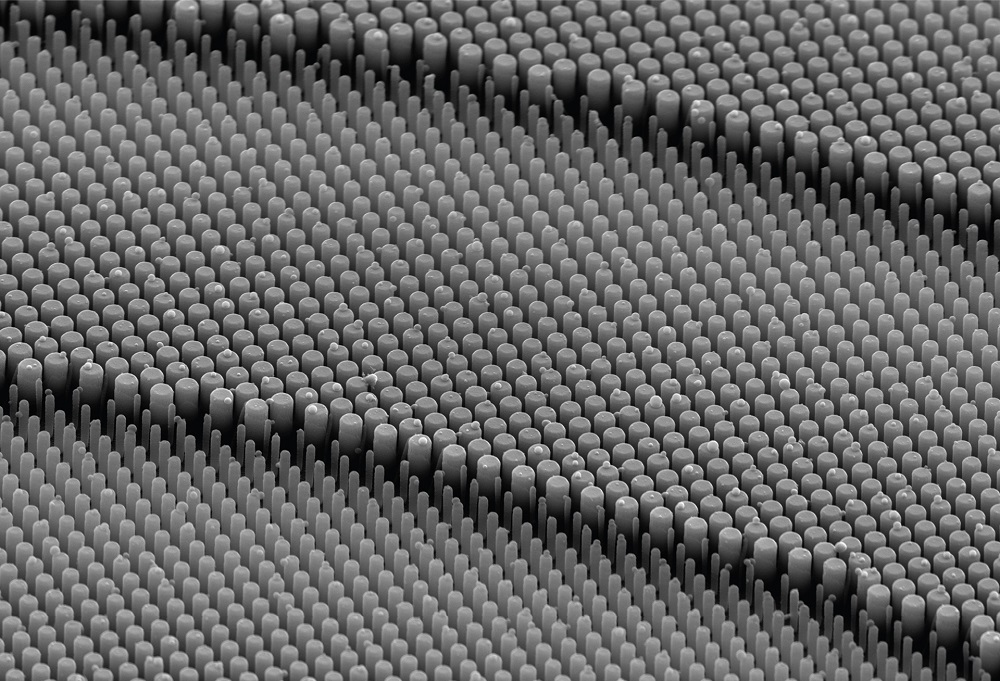 Metalens, an array of nanostructure optical elements
