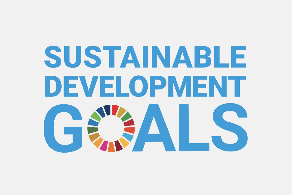 [Graphic image: Sustainable Development Goals]