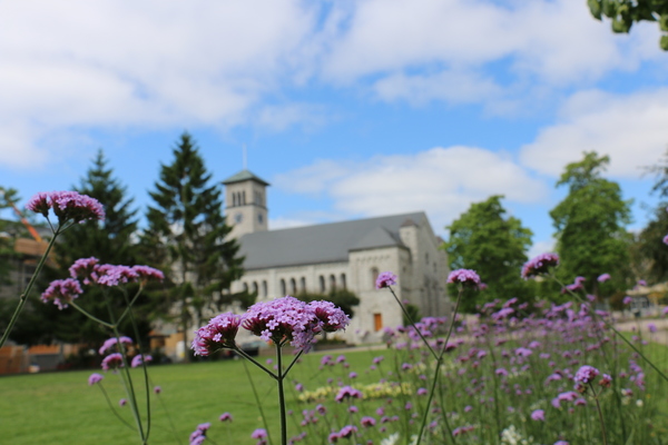 Photo of flowers with Grant Hall in the background