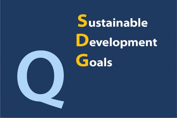 What are the UN’s Sustainable Development Goals?