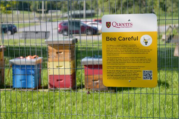 New campus bee farm provides honey and supports the environment 