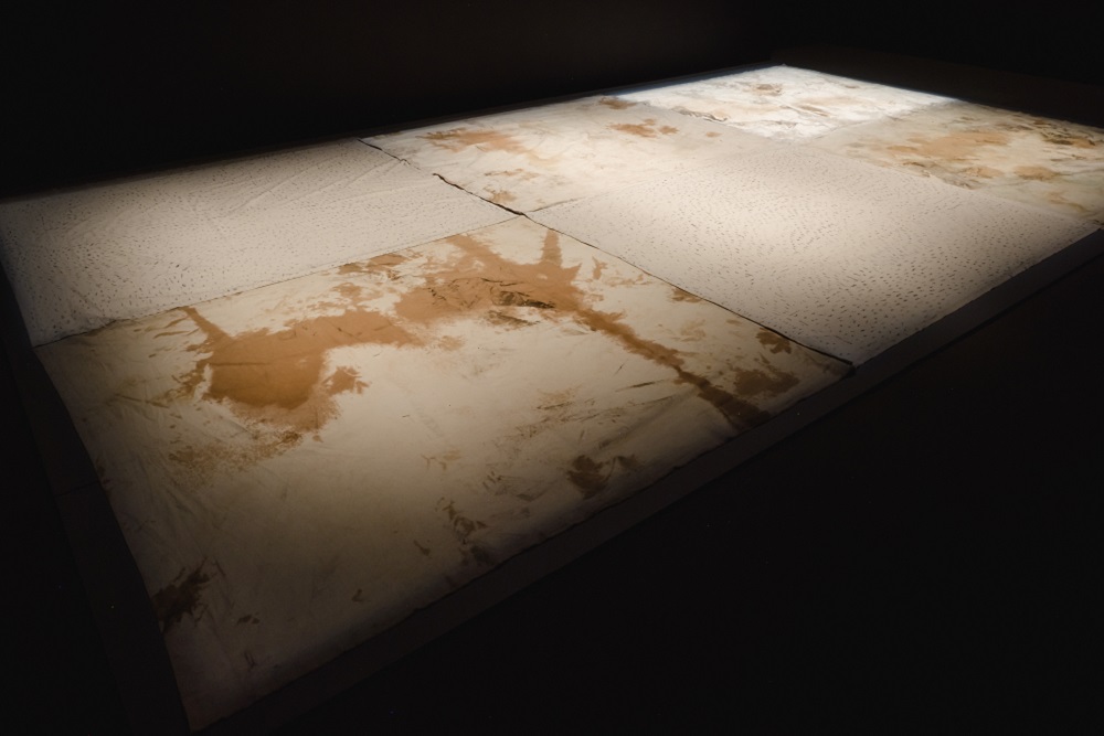Nadia Lichtig, Blank Spots, 2021–ongoing, frottage on canvas, theatre lights, sound. Collection of the artist. Installation view from Drift: Art and Dark Matter. Photo: Tim Forbes