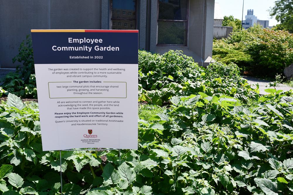 The Employee Community Garden, a pilot project by Employee Wellness in Human Resources, is located behind Jeffery Hall. (University Communications)