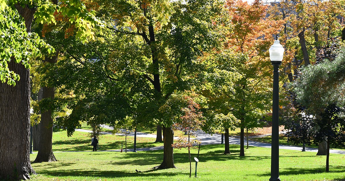 Preserving trees of Canada and beyond - Vimarsana News